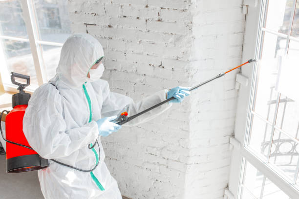 Best Industrial Mold Remediation in USA