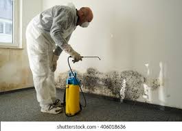 Best Mold Remediation for Healthcare Facilities in USA